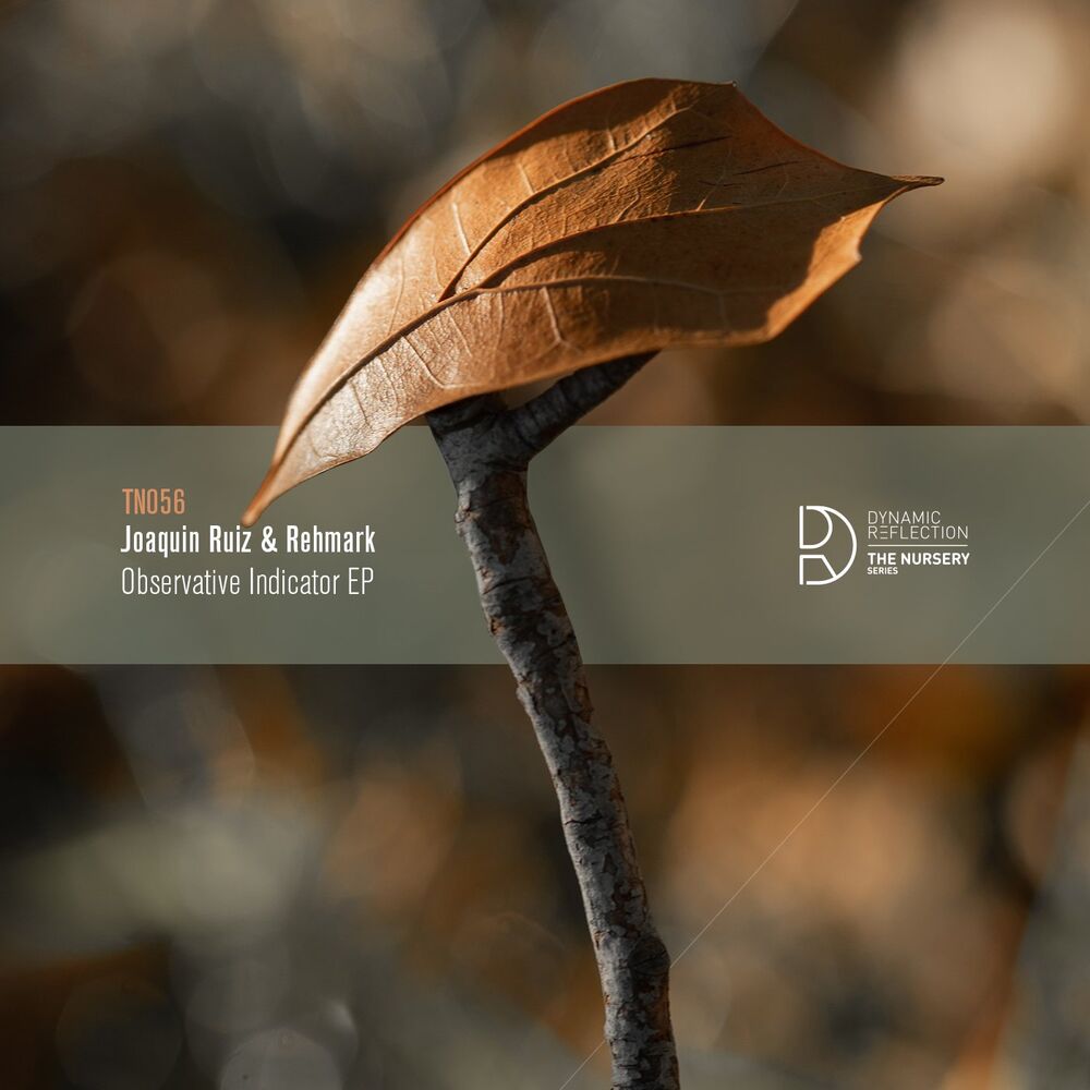 Picture of Observative Indicator EP