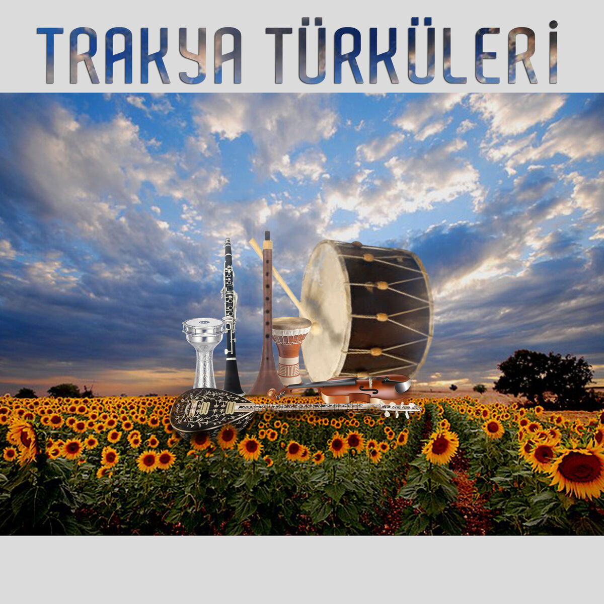Album cover of Ayva Çiçek Açmış