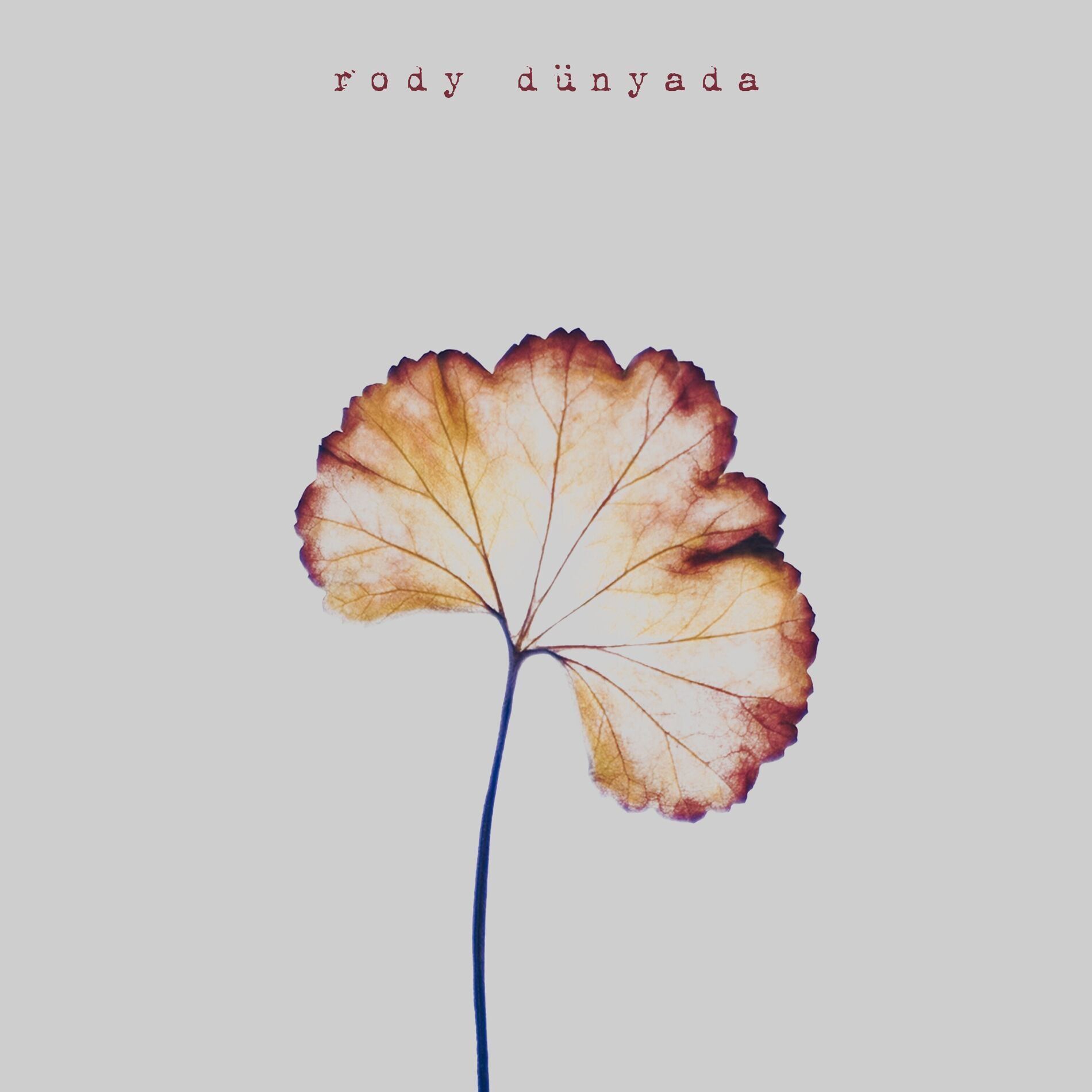 Album cover of Kayıp Şehir