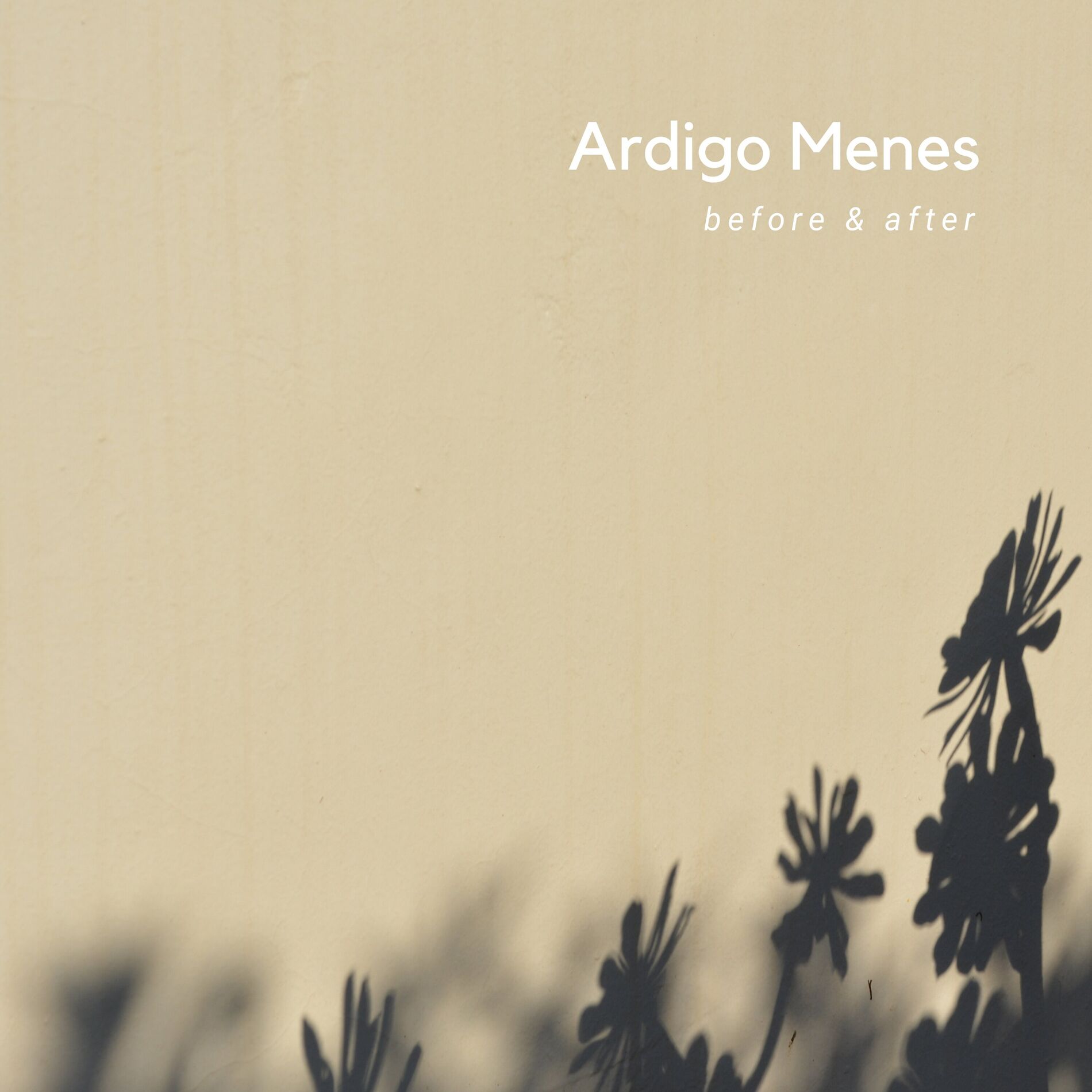 Album cover of Before & After