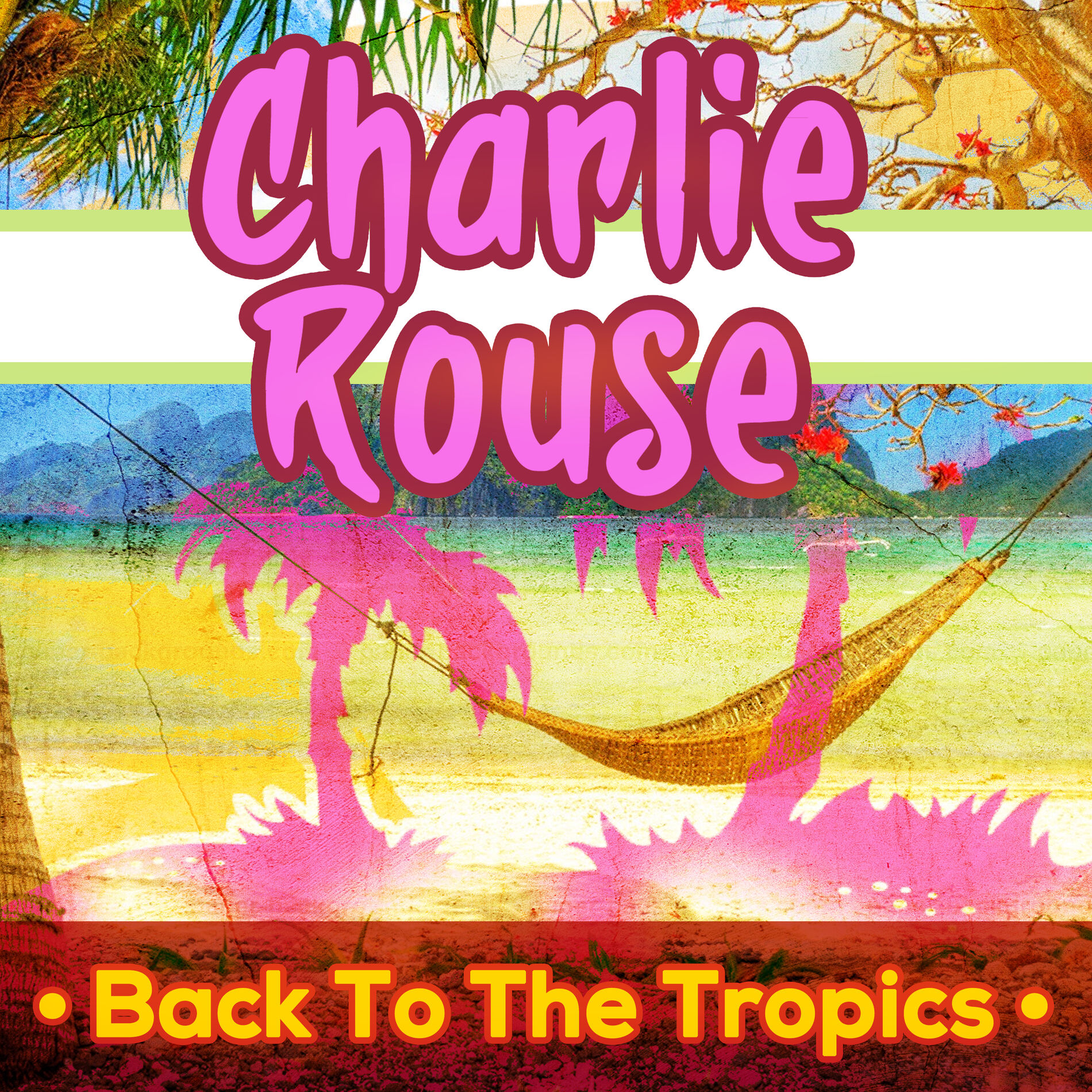 Album cover of Back to the Tropics
