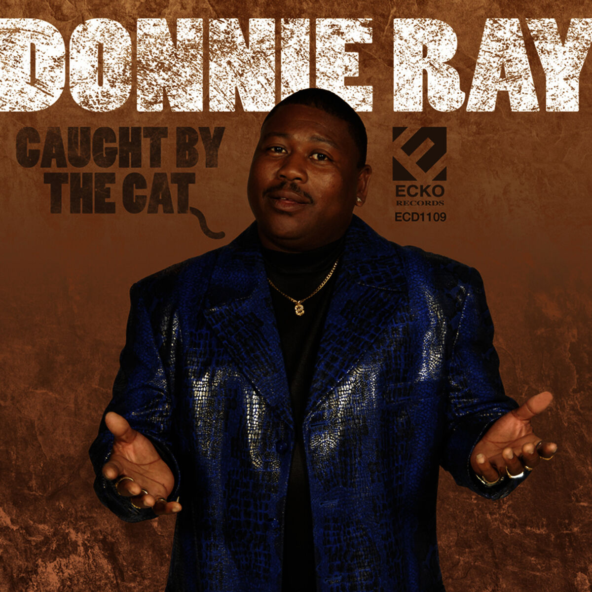 Album cover of Caught By The Cat
