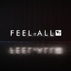 Cover of Feel It All