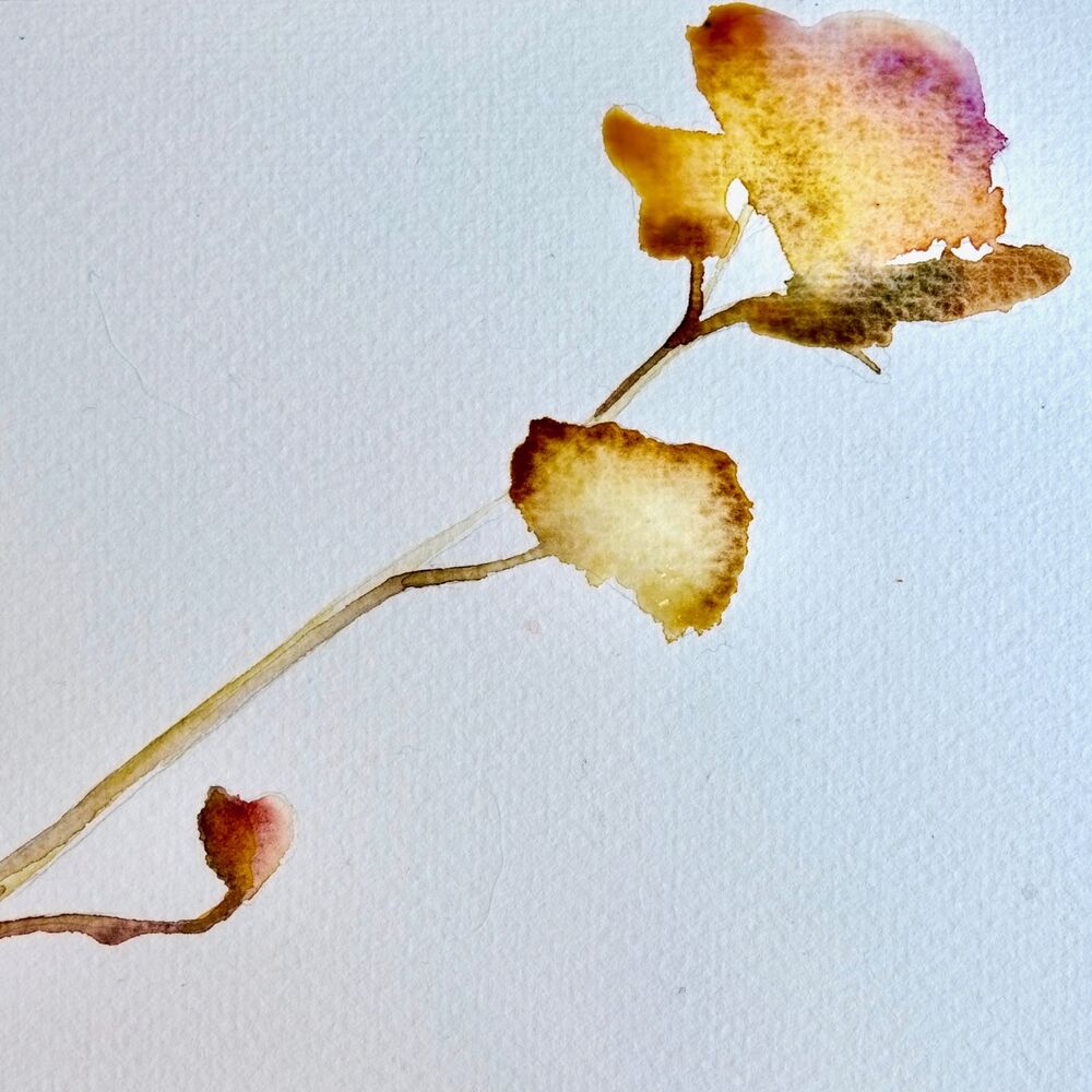 Picture of Crown