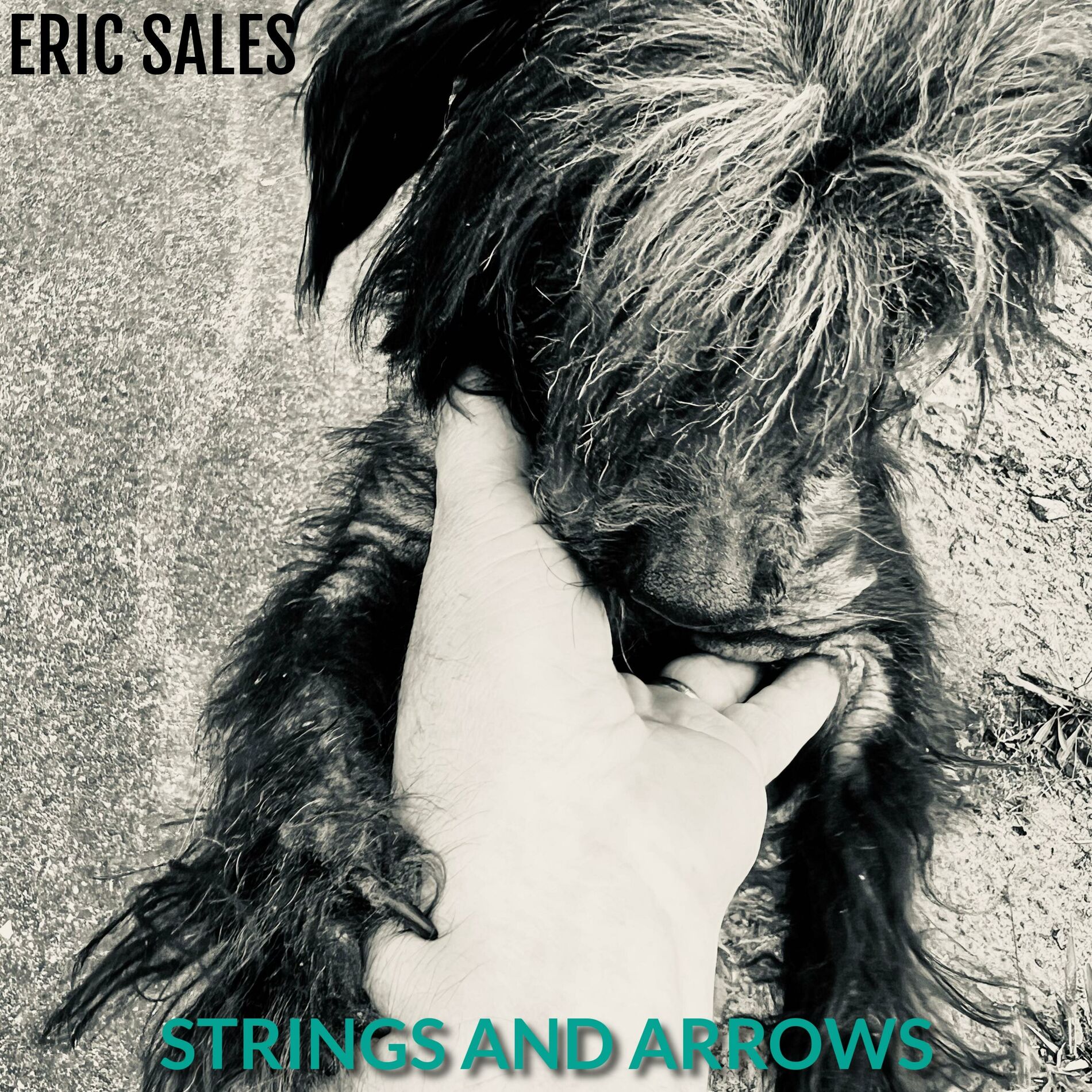 Album picture of Strings and Arrows