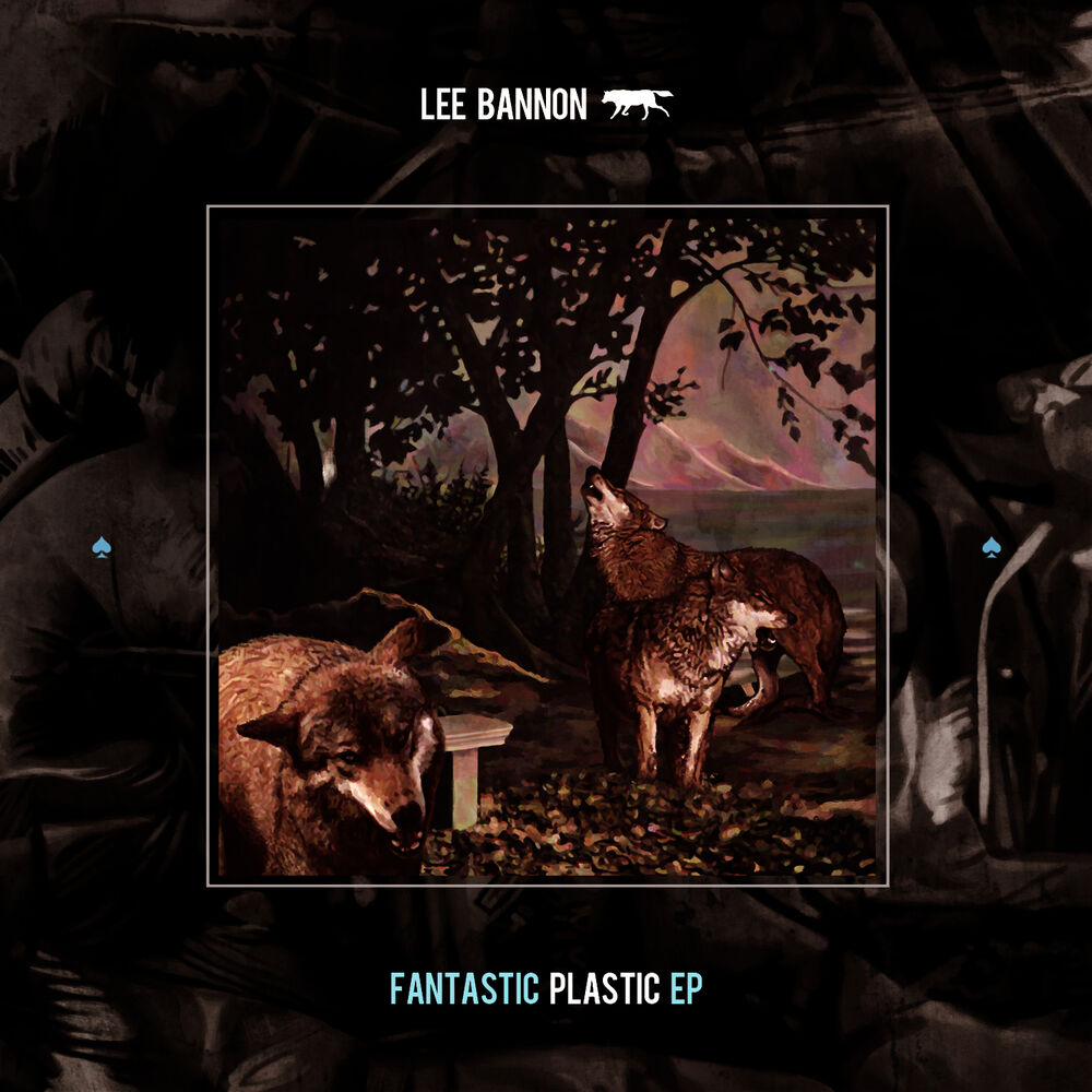 Picture of Fantastic Plastic EP