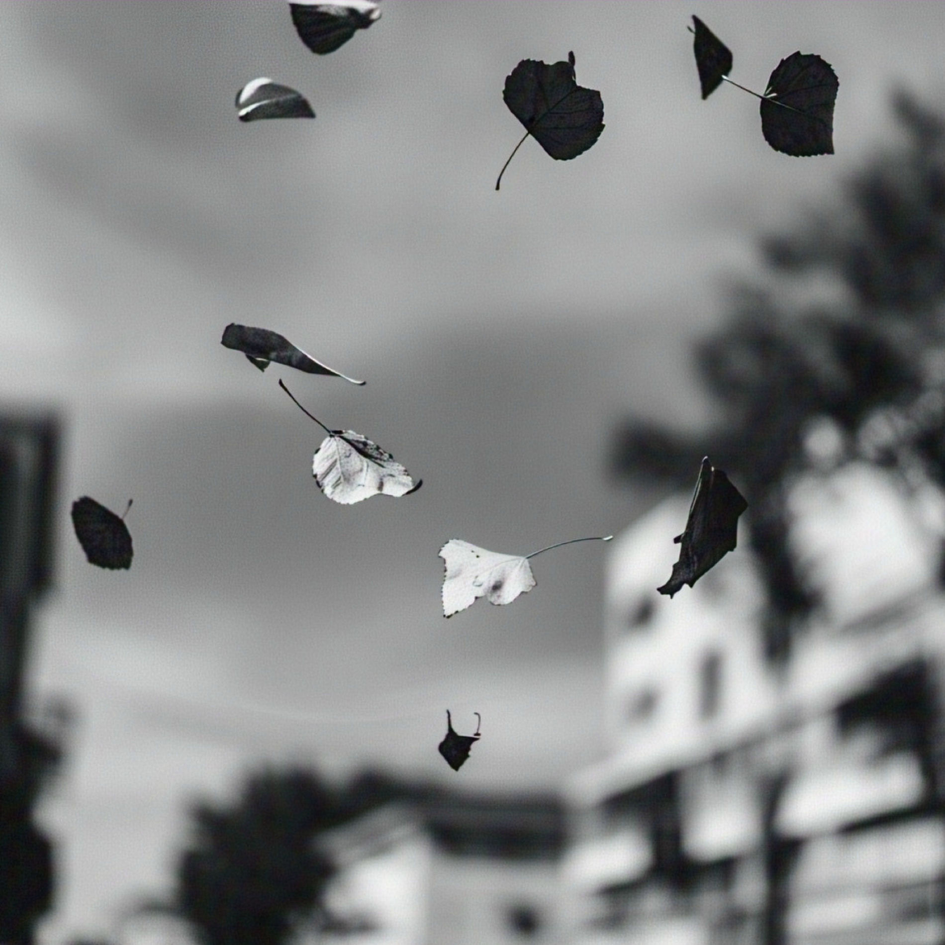 Album cover of Movimento