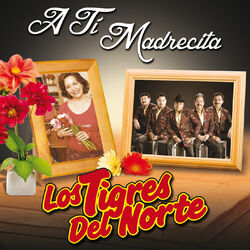 Cover of A Ti Madrecita (Remastered)