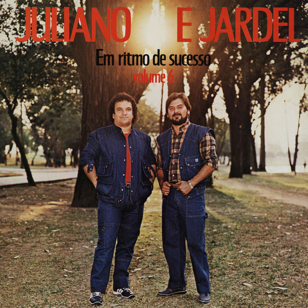 Picture of Em Ritmo de Sucesso, Vol. 6