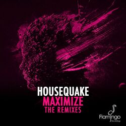 Cover of Maximize (The Remixes)
