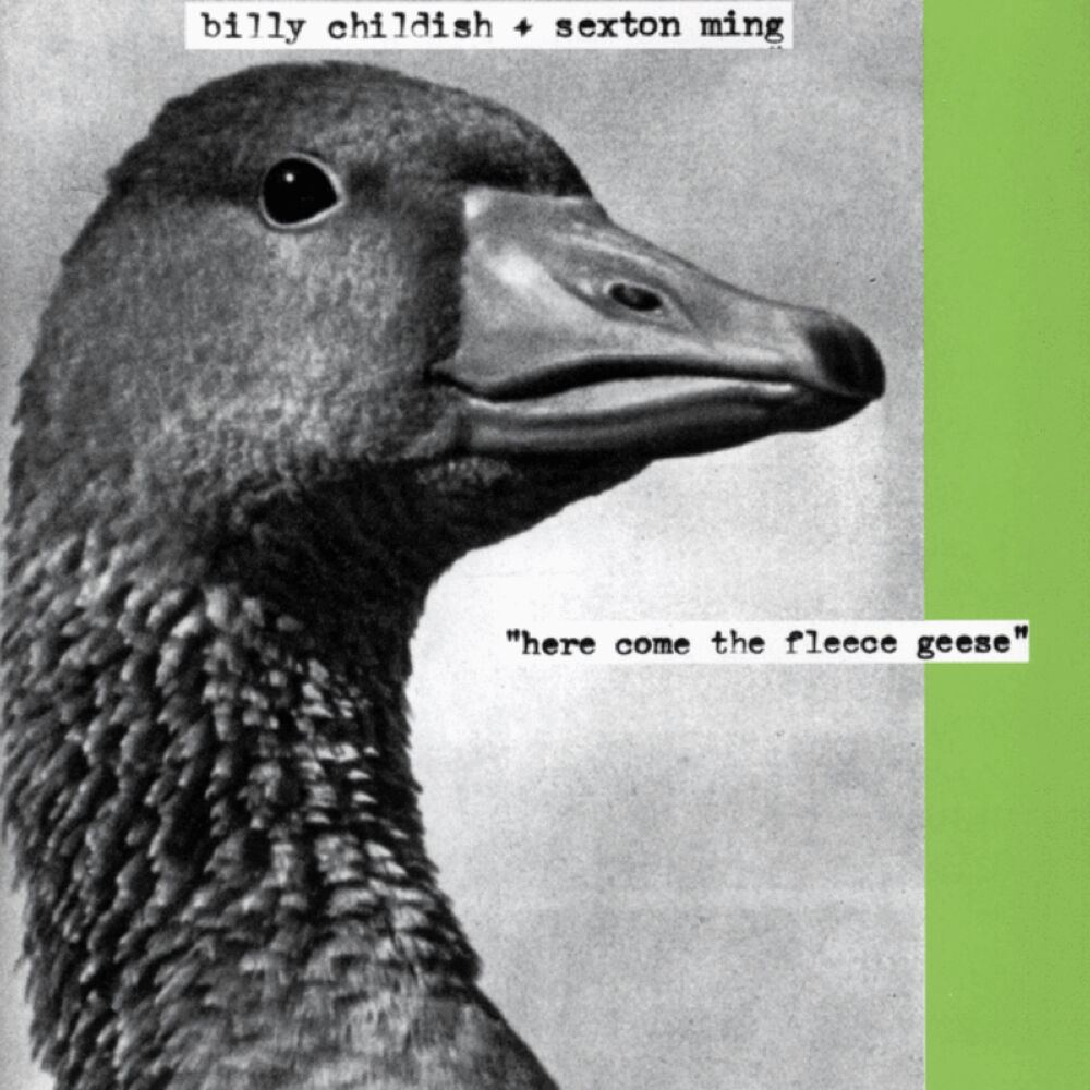Picture of Here Come The Fleece Geese