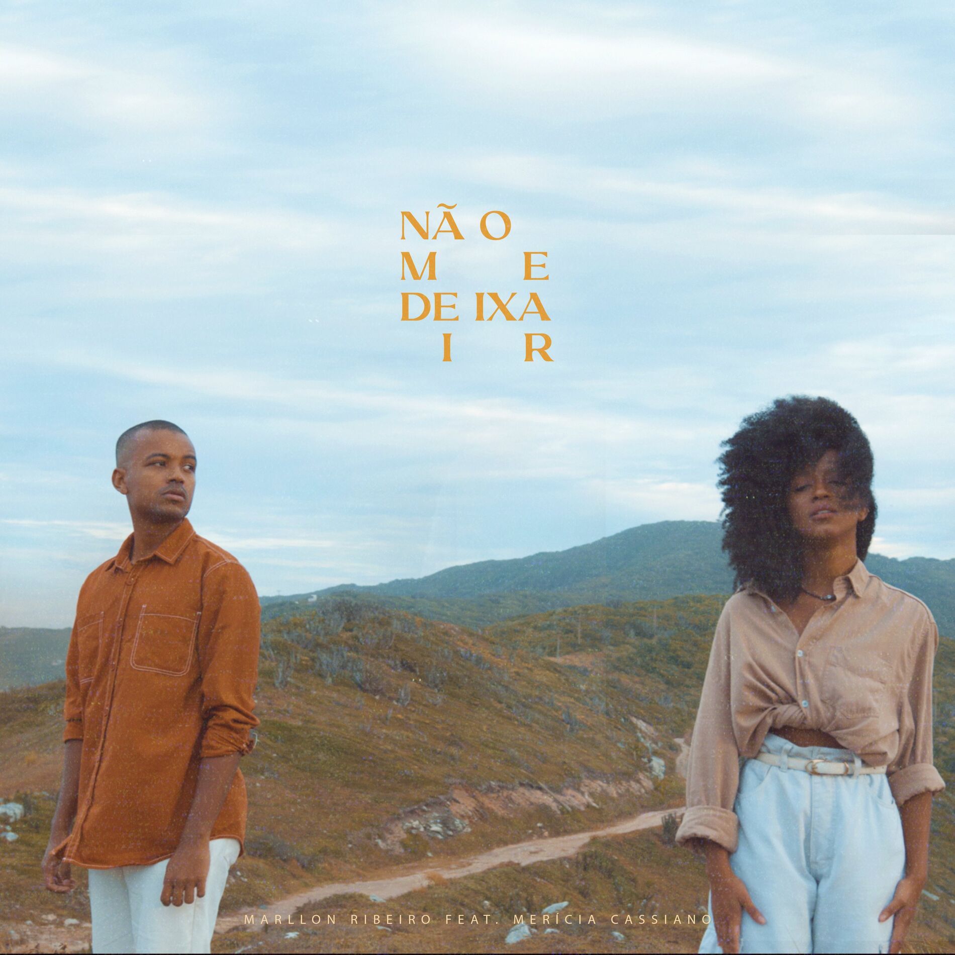Album cover of Não Me Deixa Ir