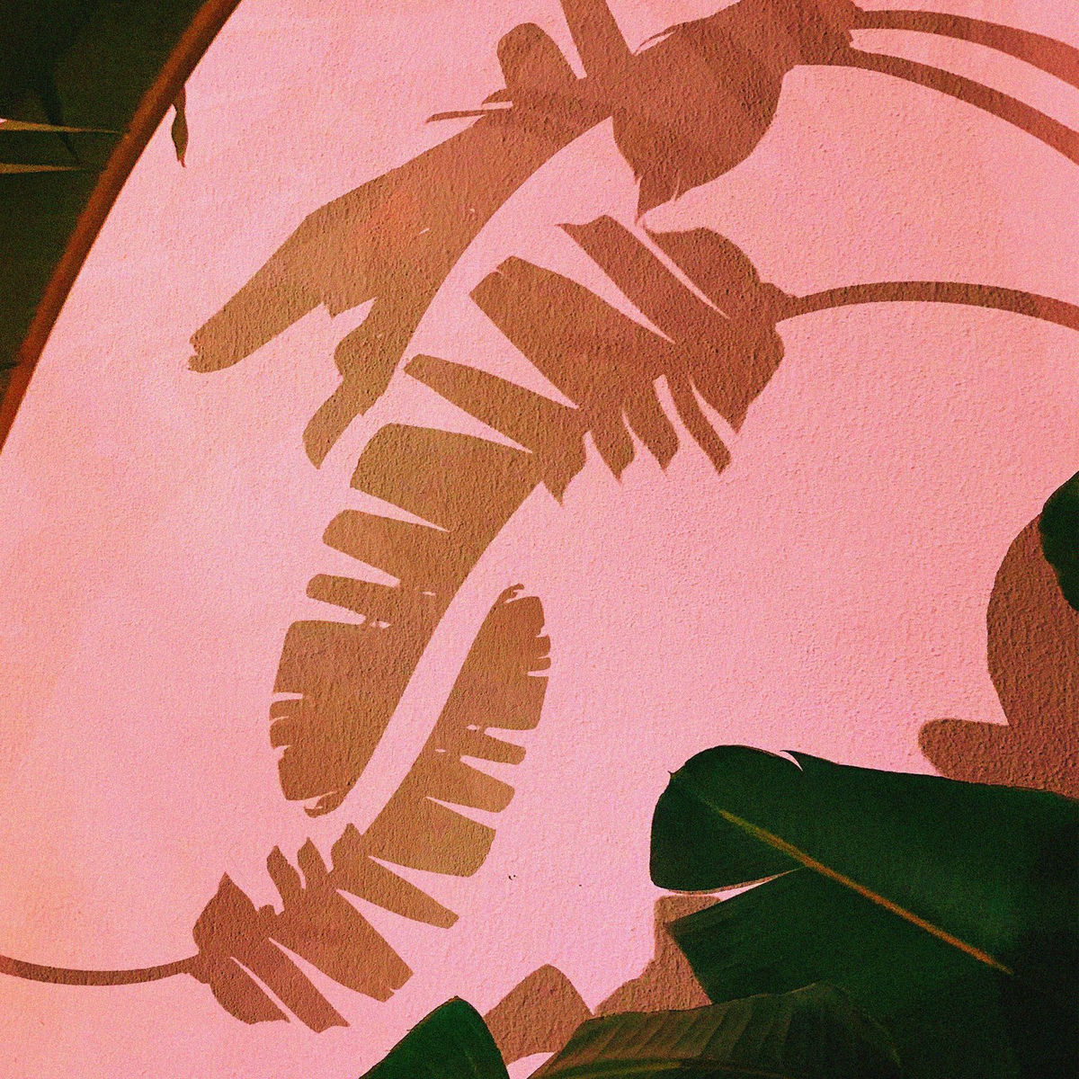 Album cover of Fantasia Lavanda