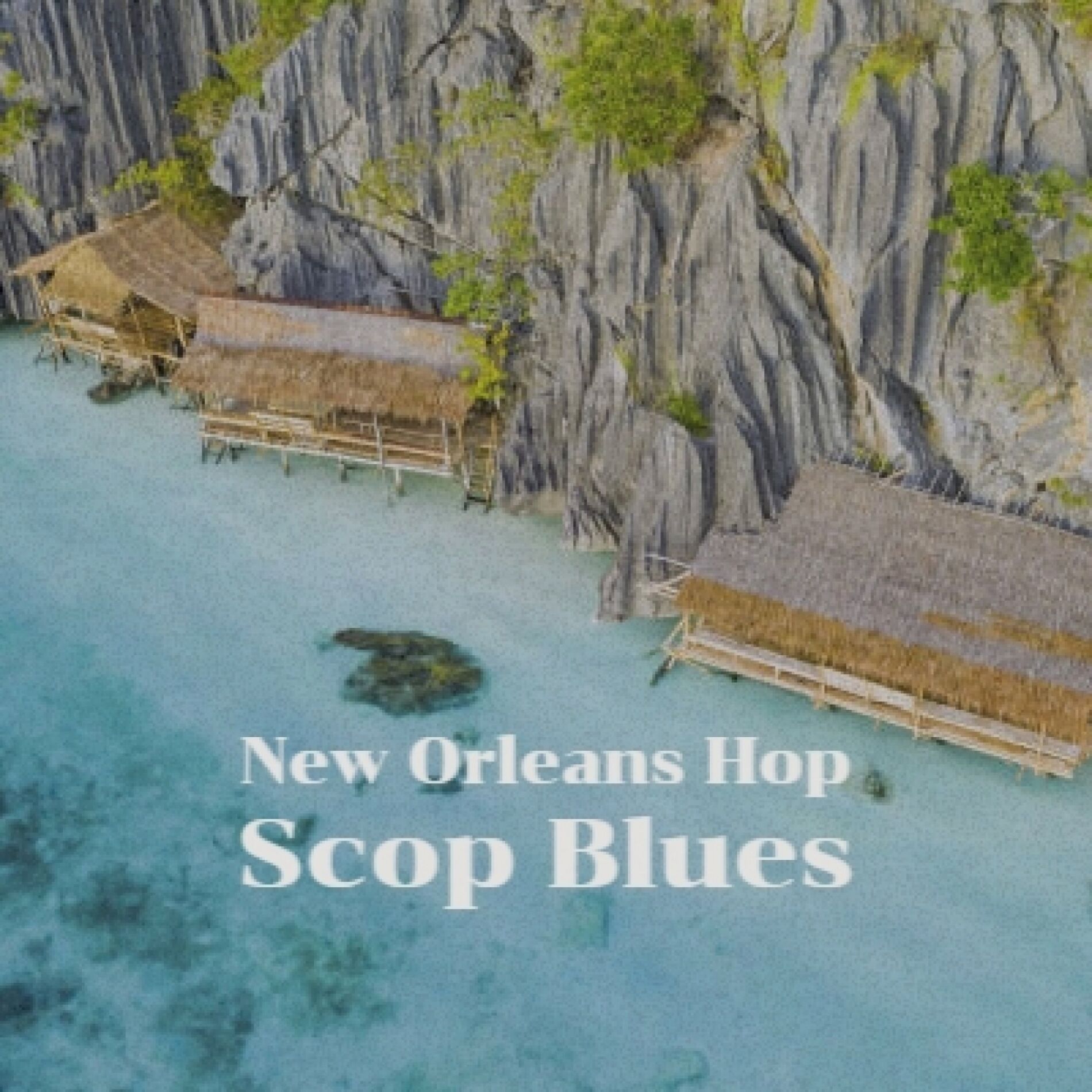 Album cover of New Orleans Hop Scop Blues
