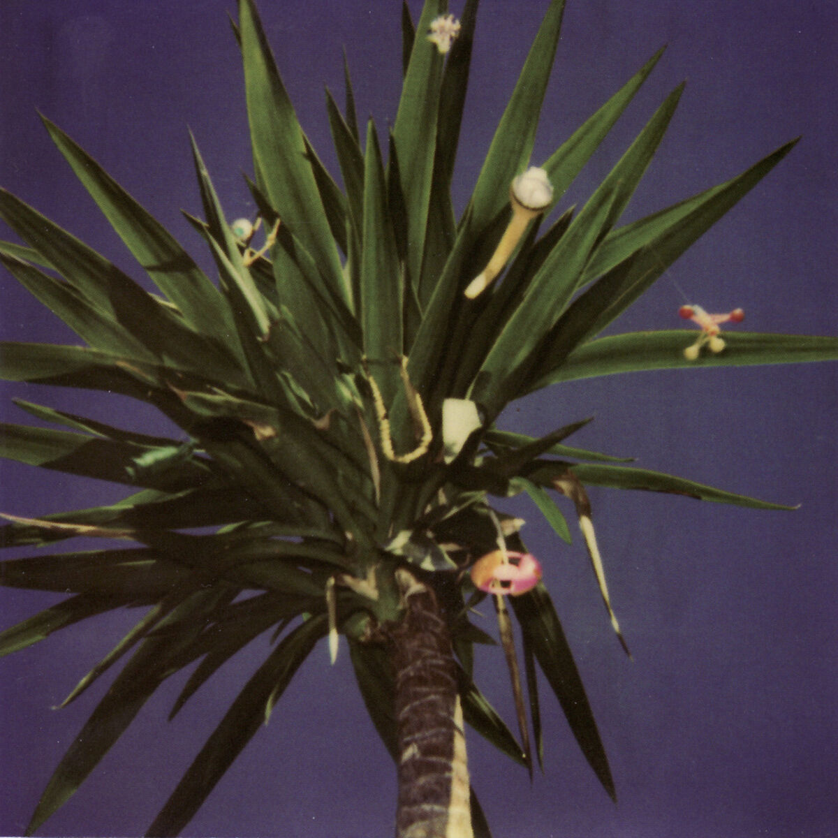 Album cover of Zopilote Machine