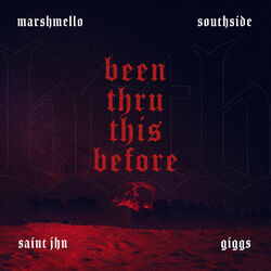 Cover of Been Thru This Before