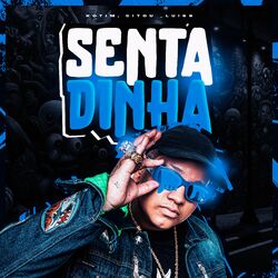 Cover of Sentadinha