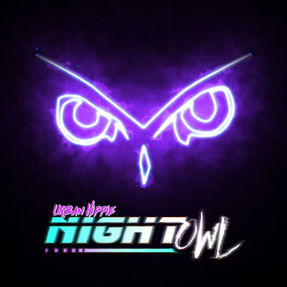 Picture of Night Owl