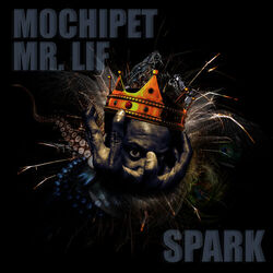 Cover of Spark