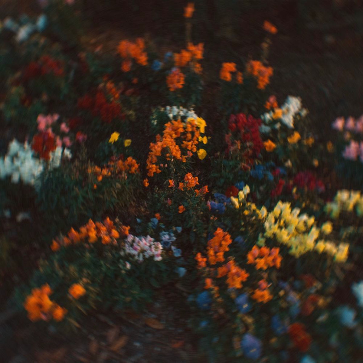 Album cover of Feel Your Pulse