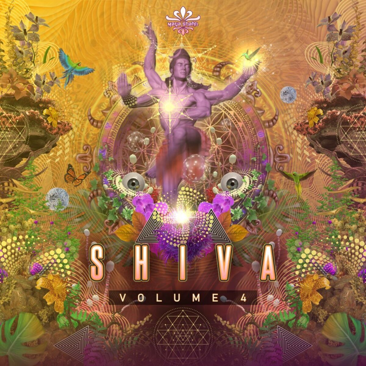 Album cover of Shiva, Vol. 4