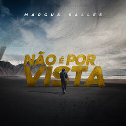 Cover of Não é Por Vista