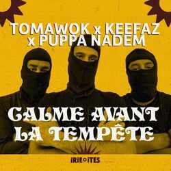 Cover of Calme avant la tempête