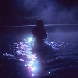 lost dreams