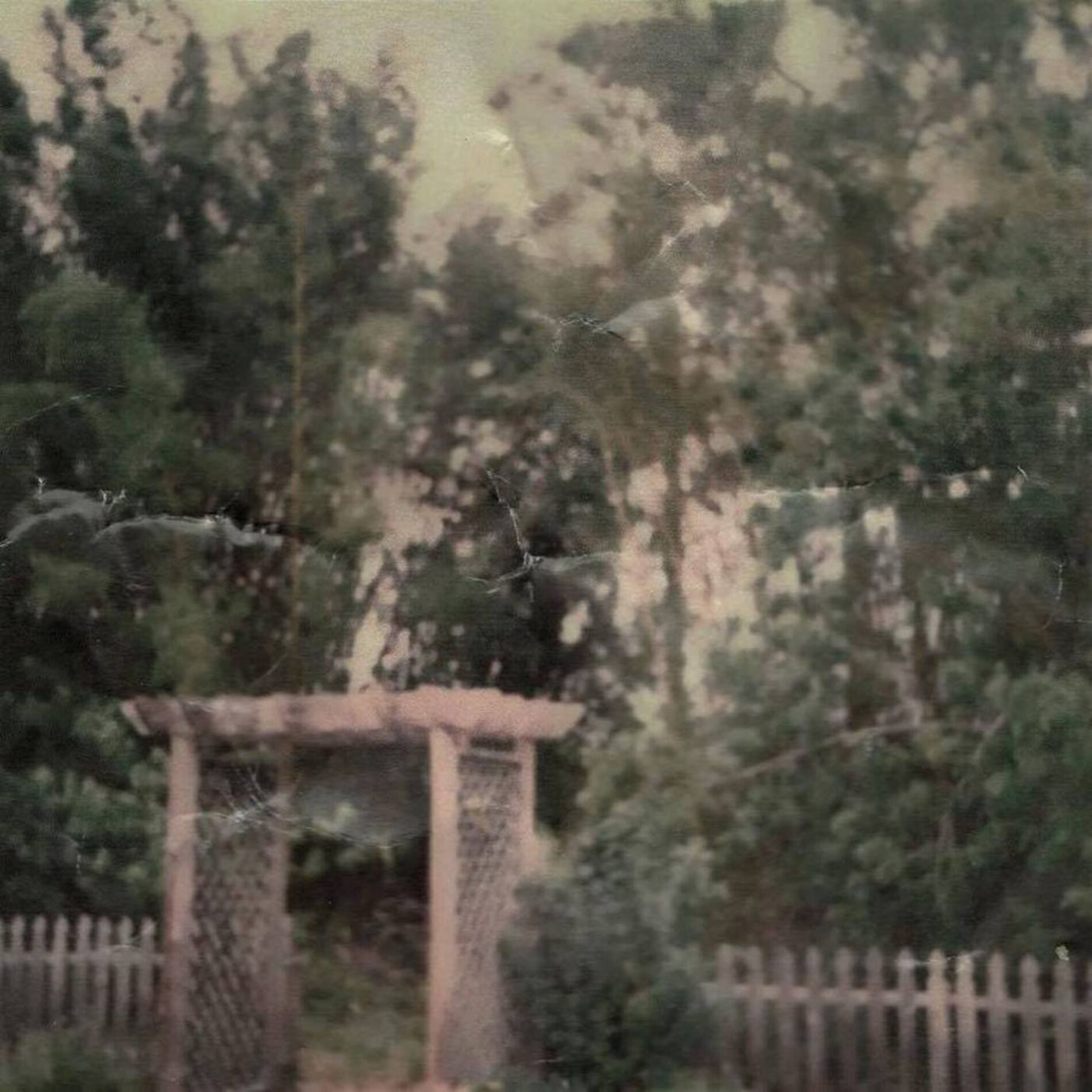Album cover of still numb