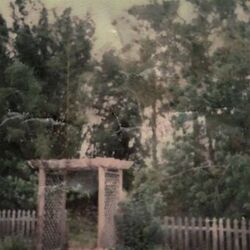 Cover of Backyard Cemetery: Revisited