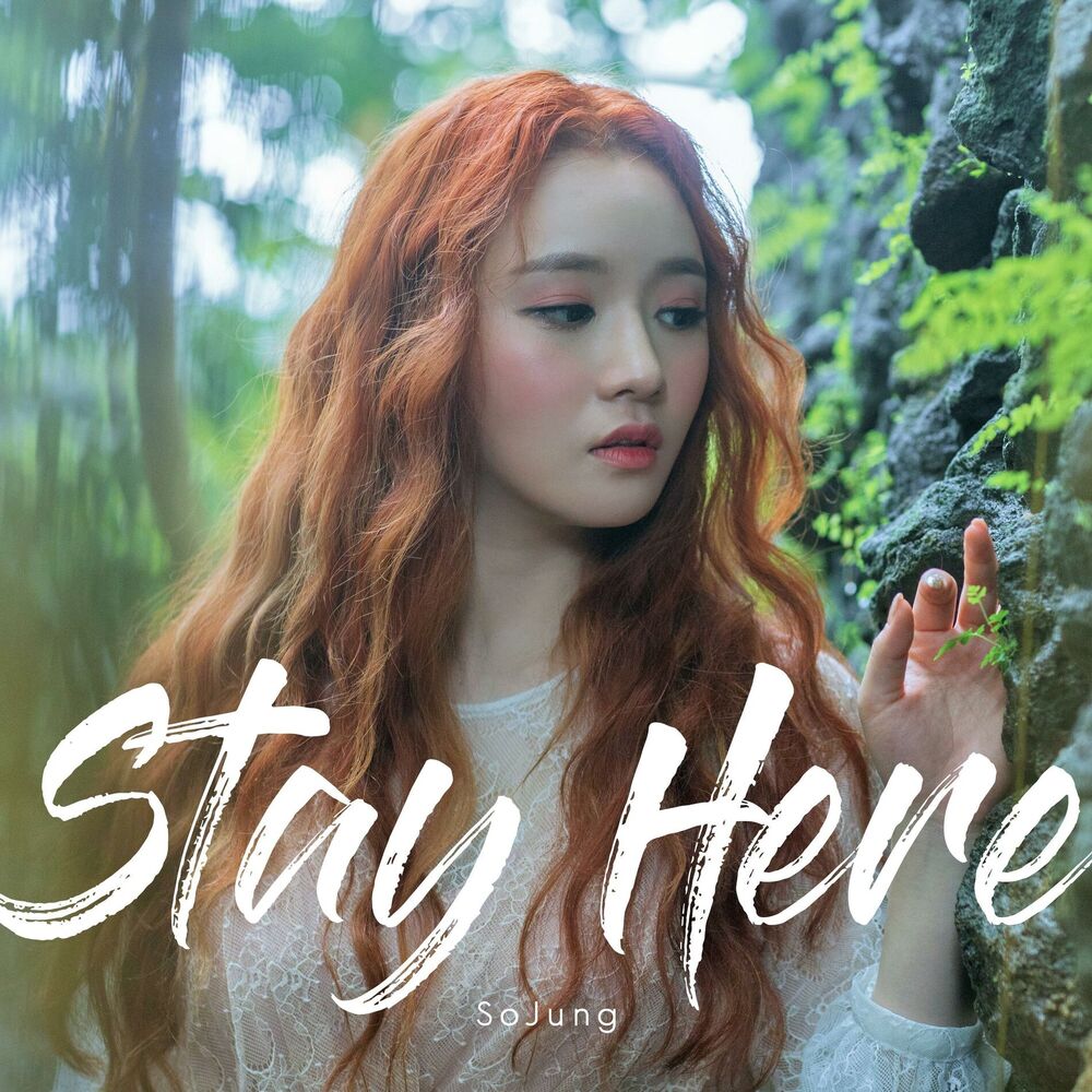 Picture of Stay Here