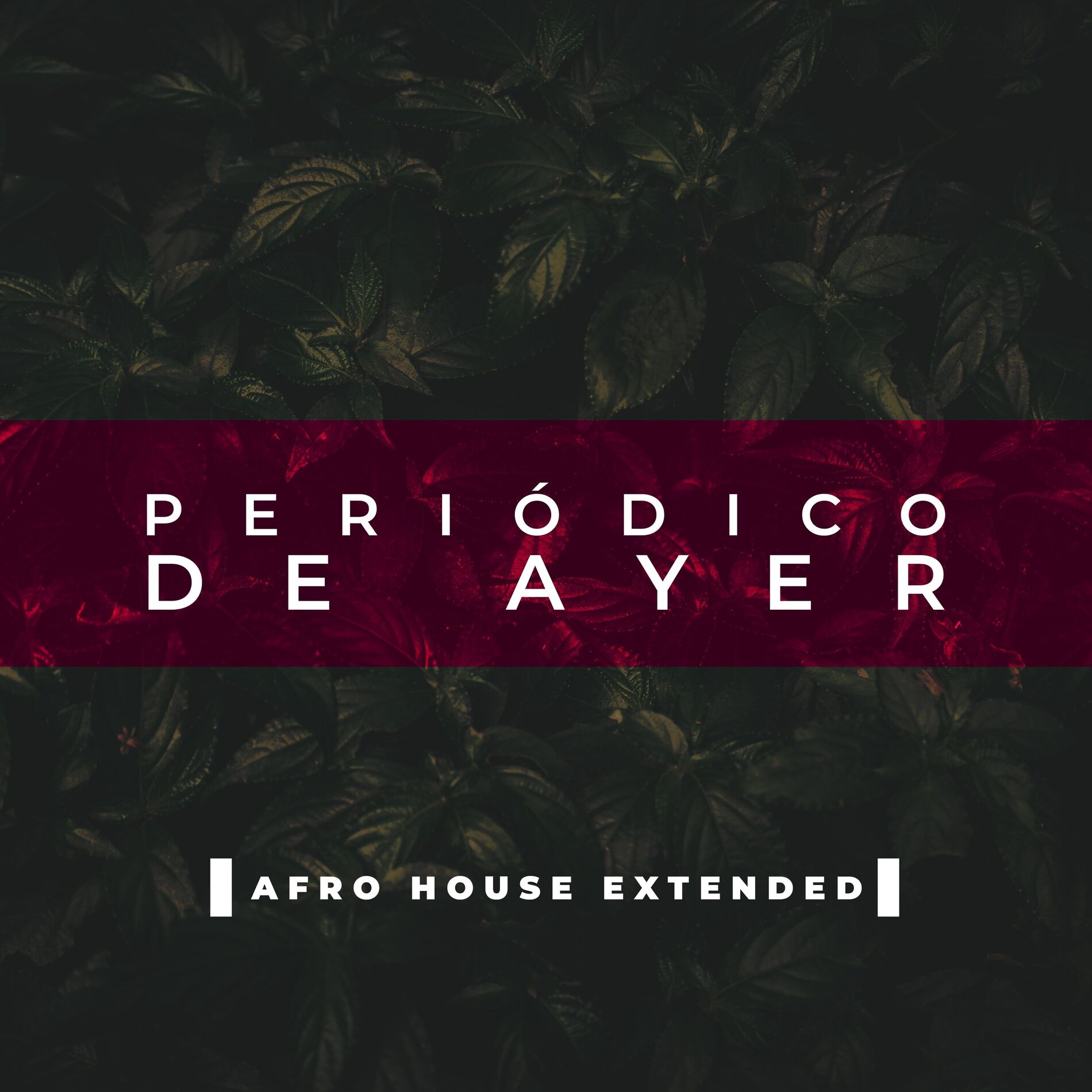 Album cover of Periodico de Ayer (Afro House Extended)