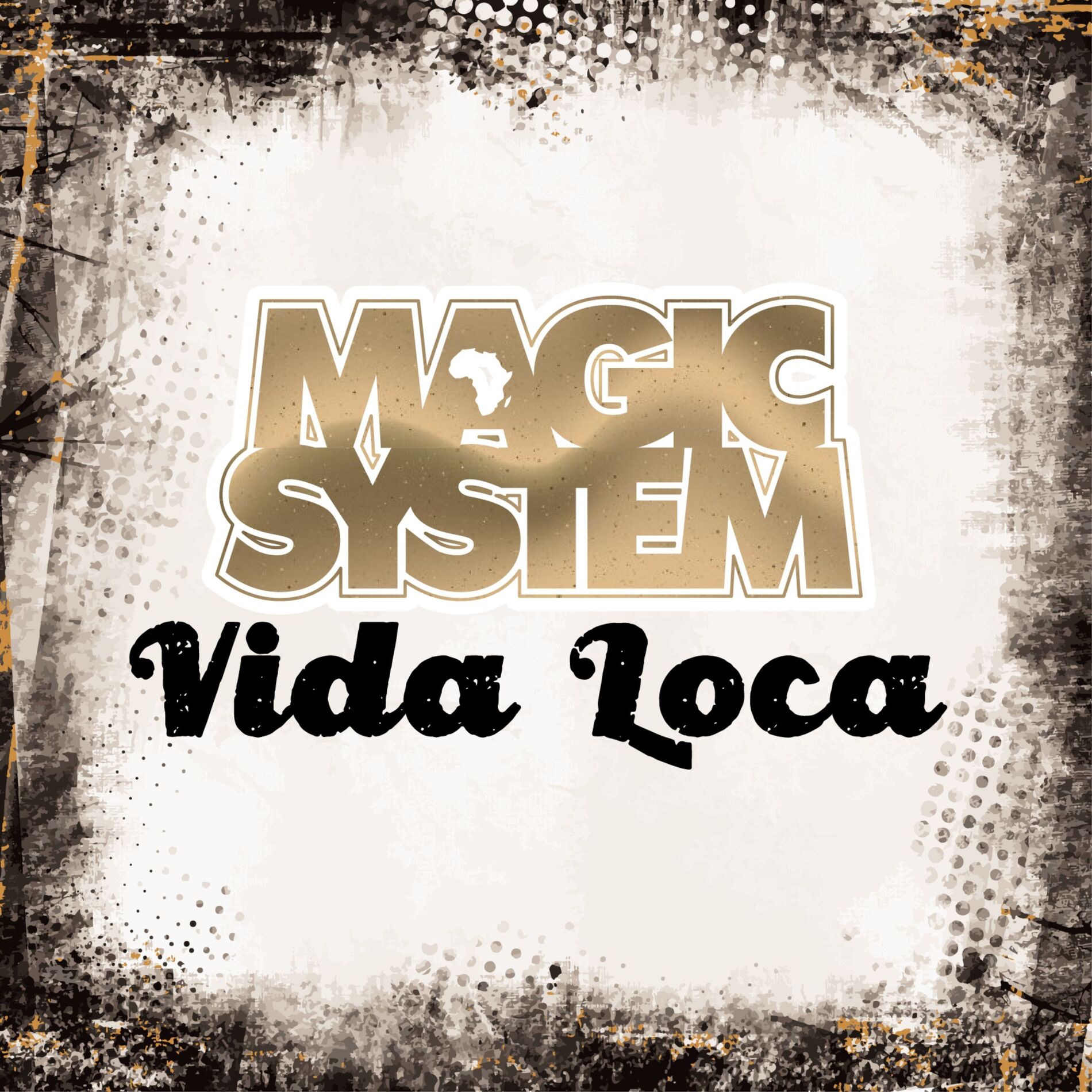 Album cover of Vida Loca