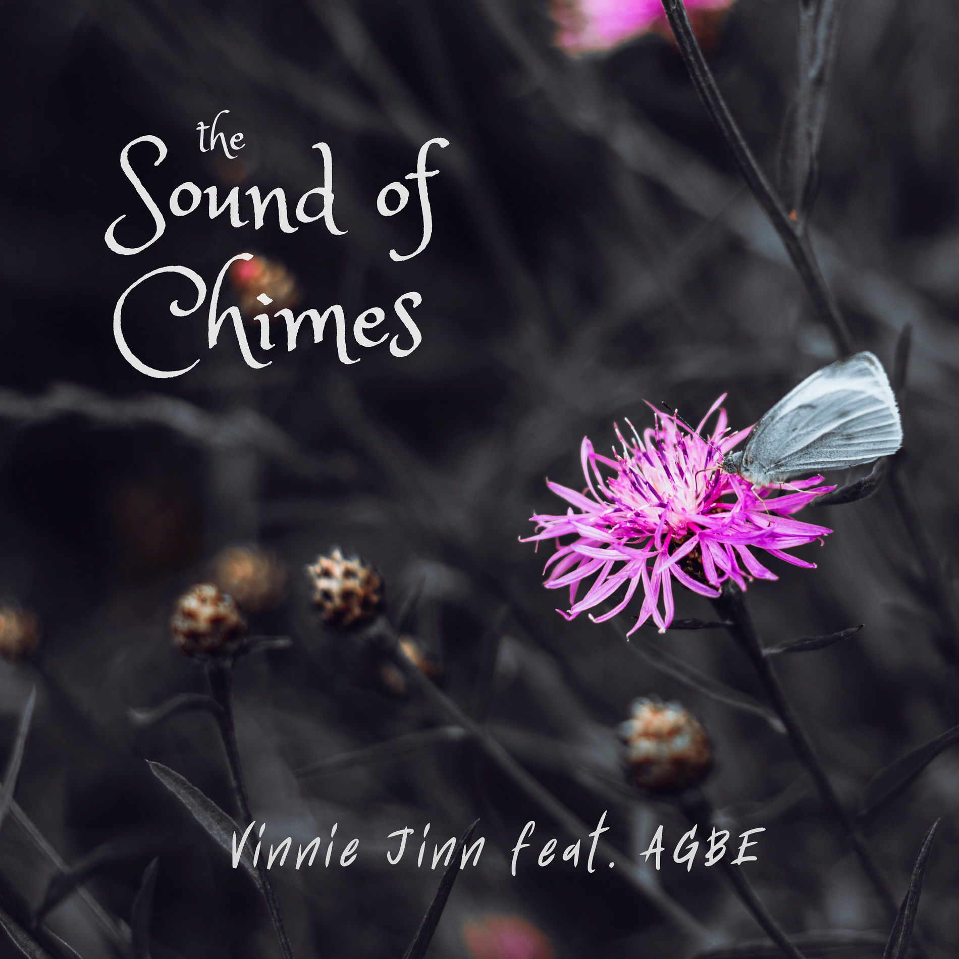 Album cover of The Sound of Chimes