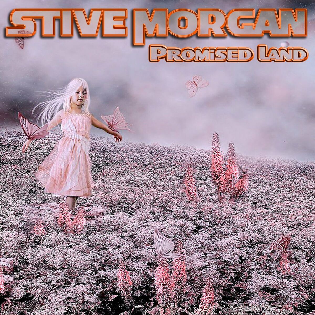 Album cover of Promised Land