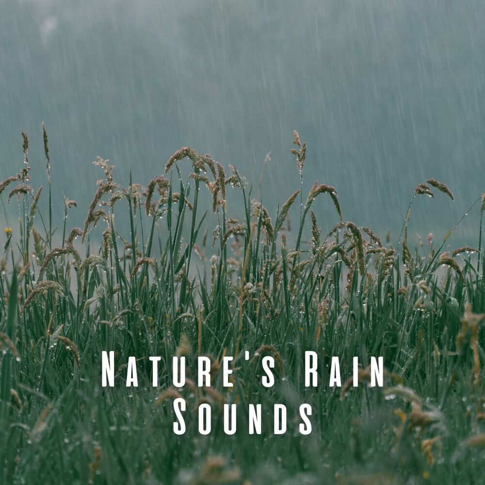 Picture of Nature's Rain Sounds
