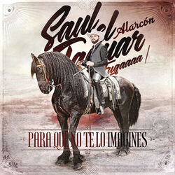Cover of Para Que No Te Lo Imagines