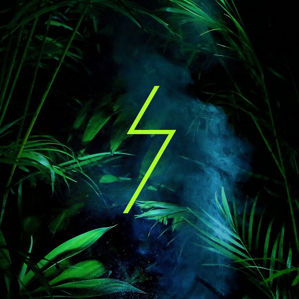 Picture of Rio Shock