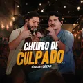 Cheiro De Culpado