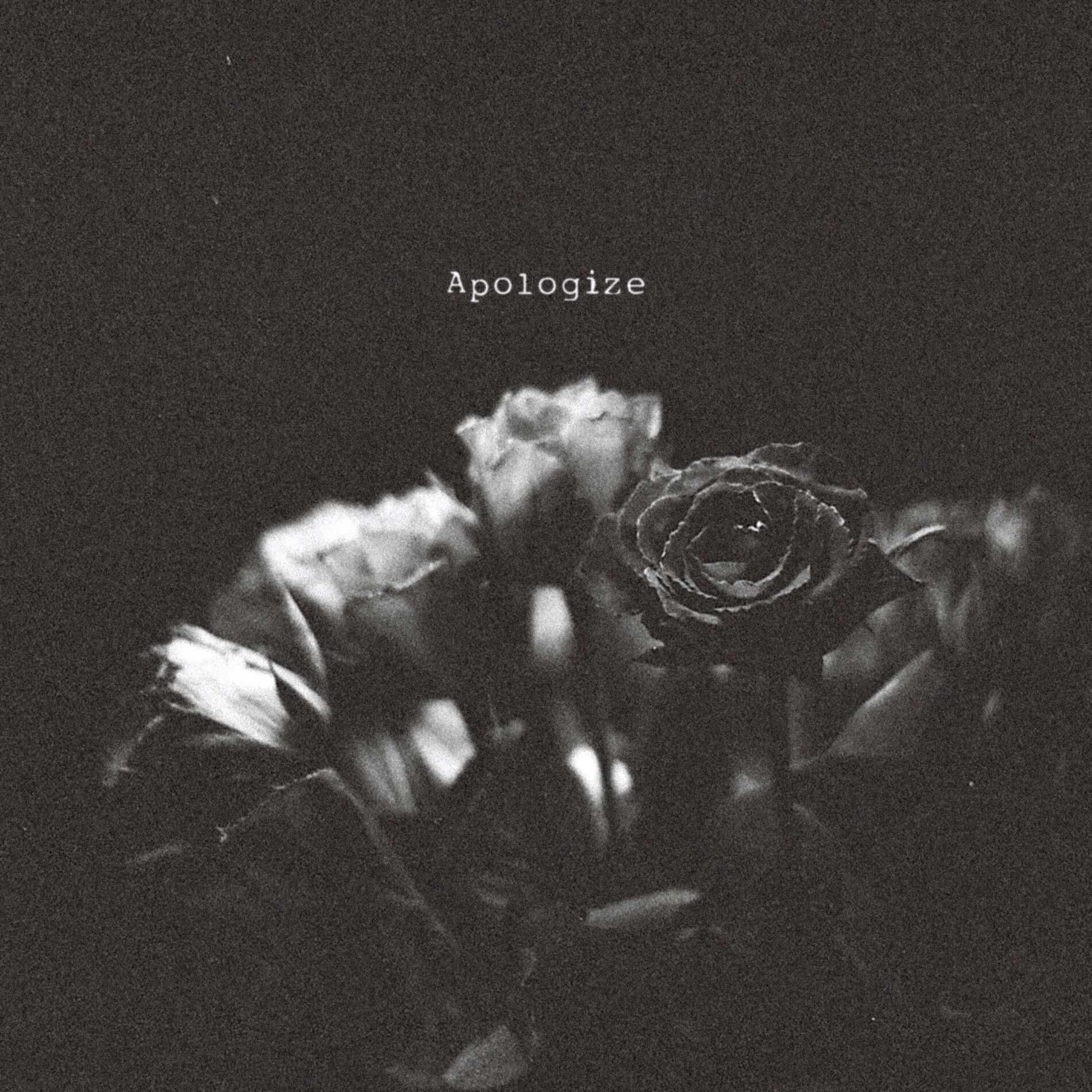 Album cover of Apologize