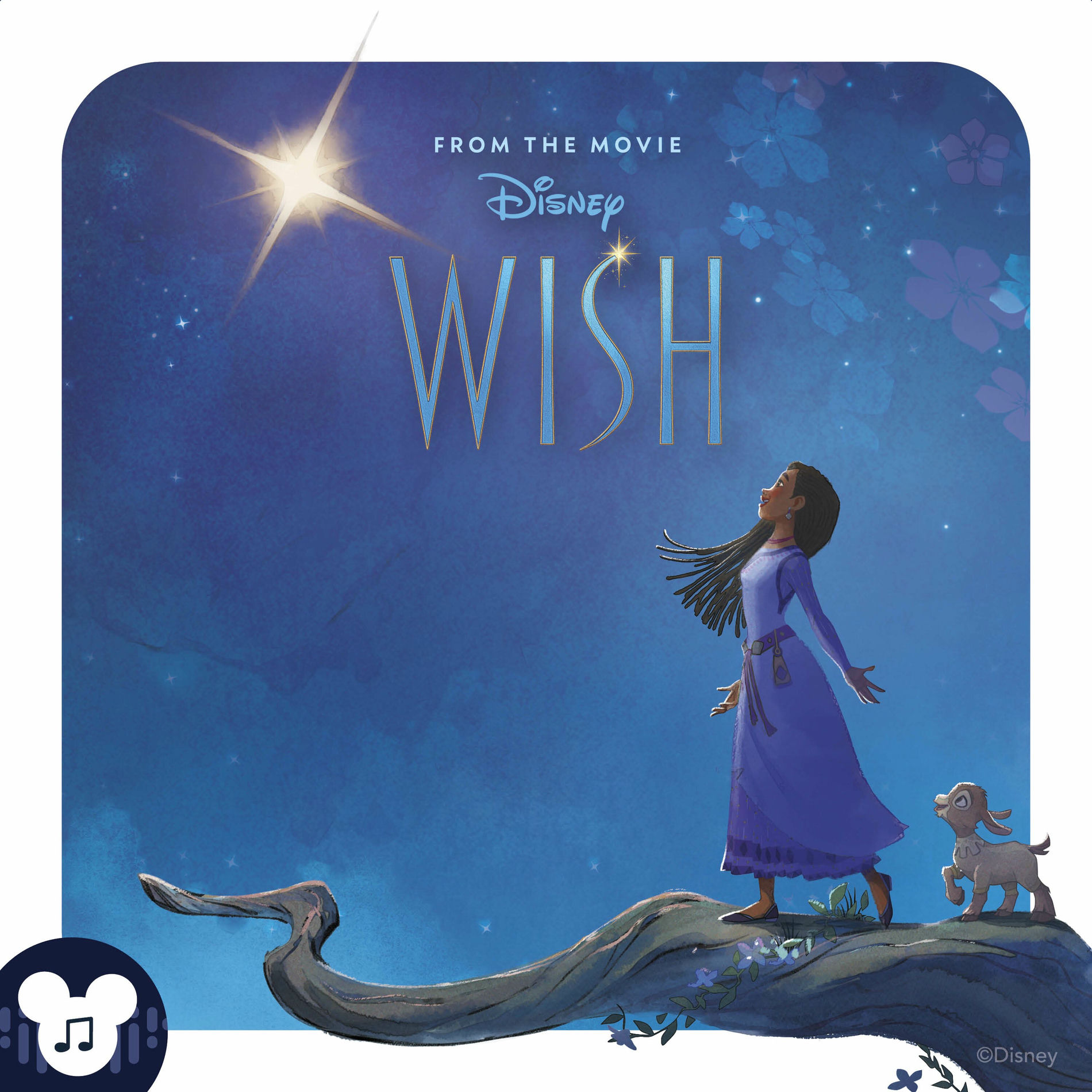 Album cover of Disney Wish: Die Nacherzählung des Films (Audio Adaptation)