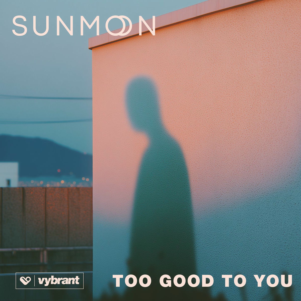 Album cover of Too Good to You
