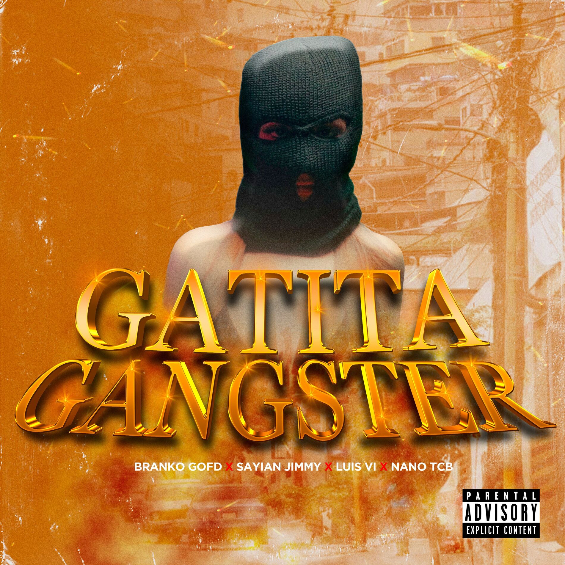 Album cover of Gatita Gangster