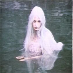 Cover of Sirena Nostalgia