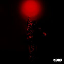 Cover of Crash & Burn (Remix)