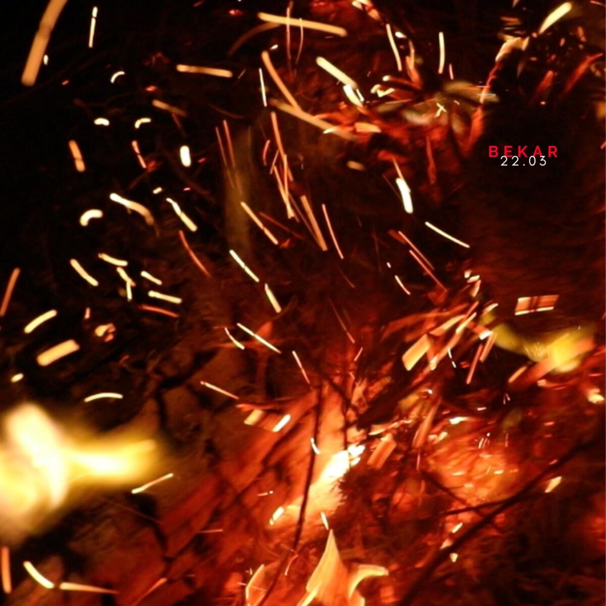Album cover of 22.03