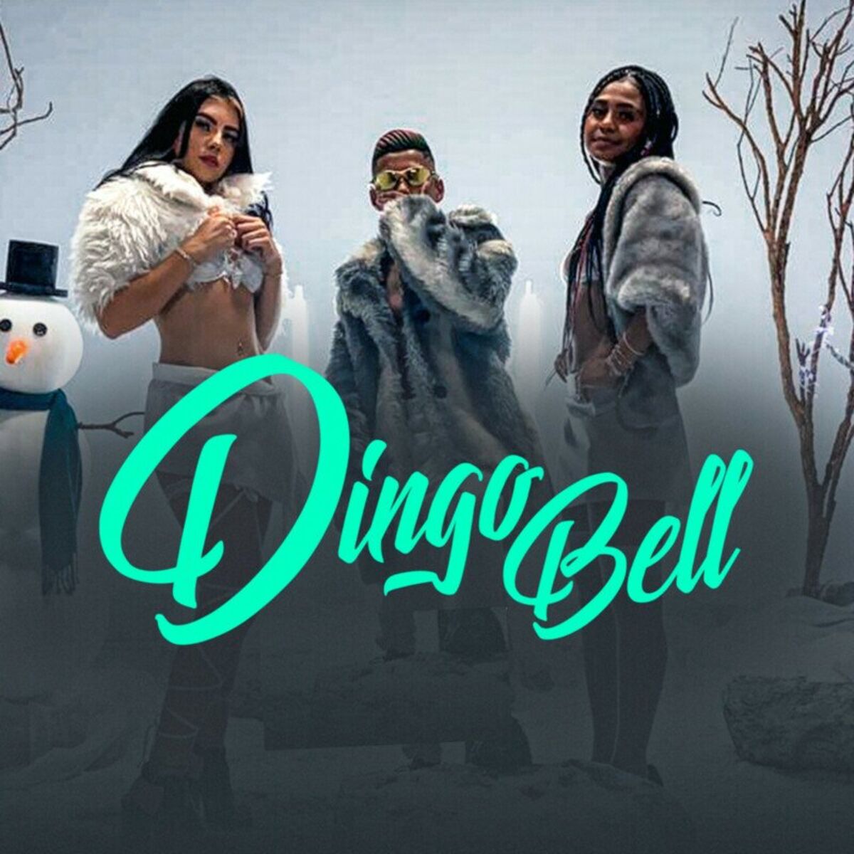 Album cover of Dingo Bell Sou Seu Papai Noel