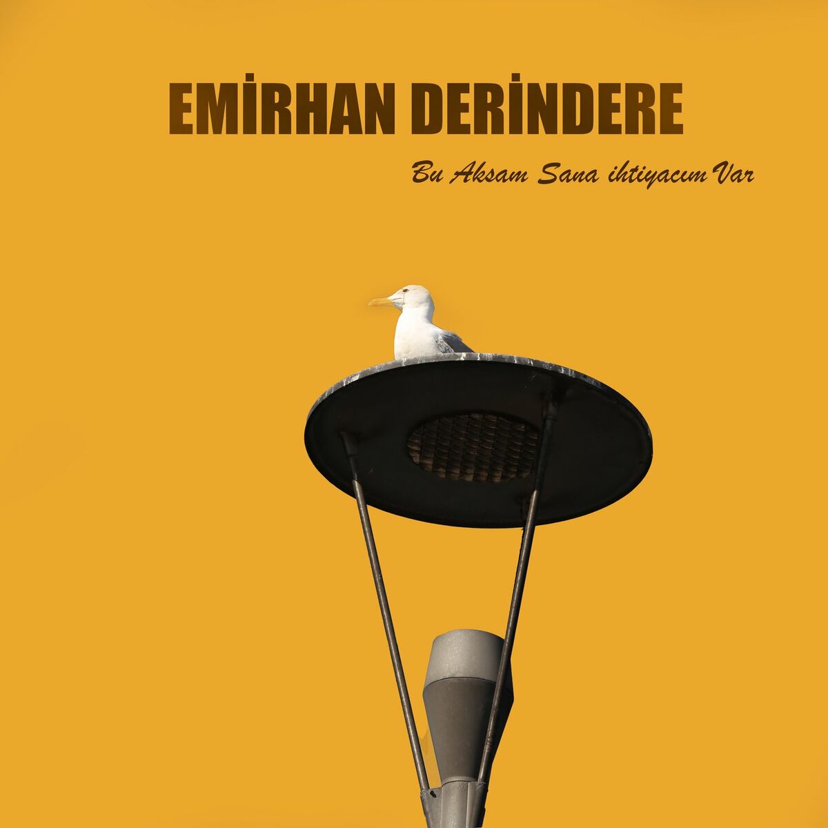 Album cover of Bu Akşam Sana İhtiyacım Var