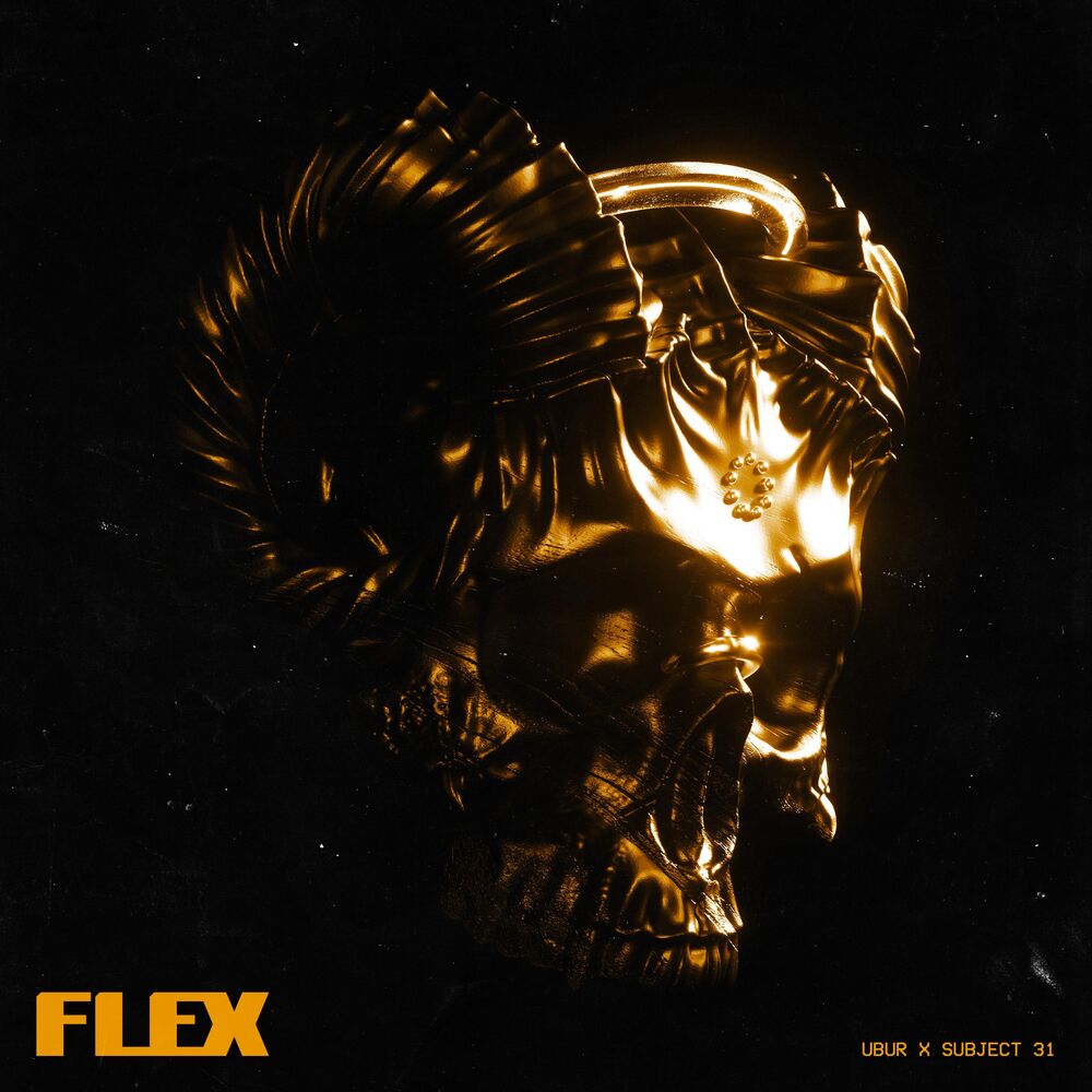 Picture of Flex