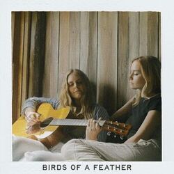 Birds of a Feather